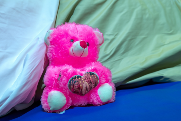 Pretty Pink Teddy Bear With Personalized Heart Panel - Image 3