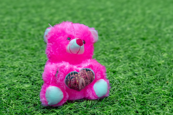 Pretty Pink Teddy Bear With Personalized Heart Panel